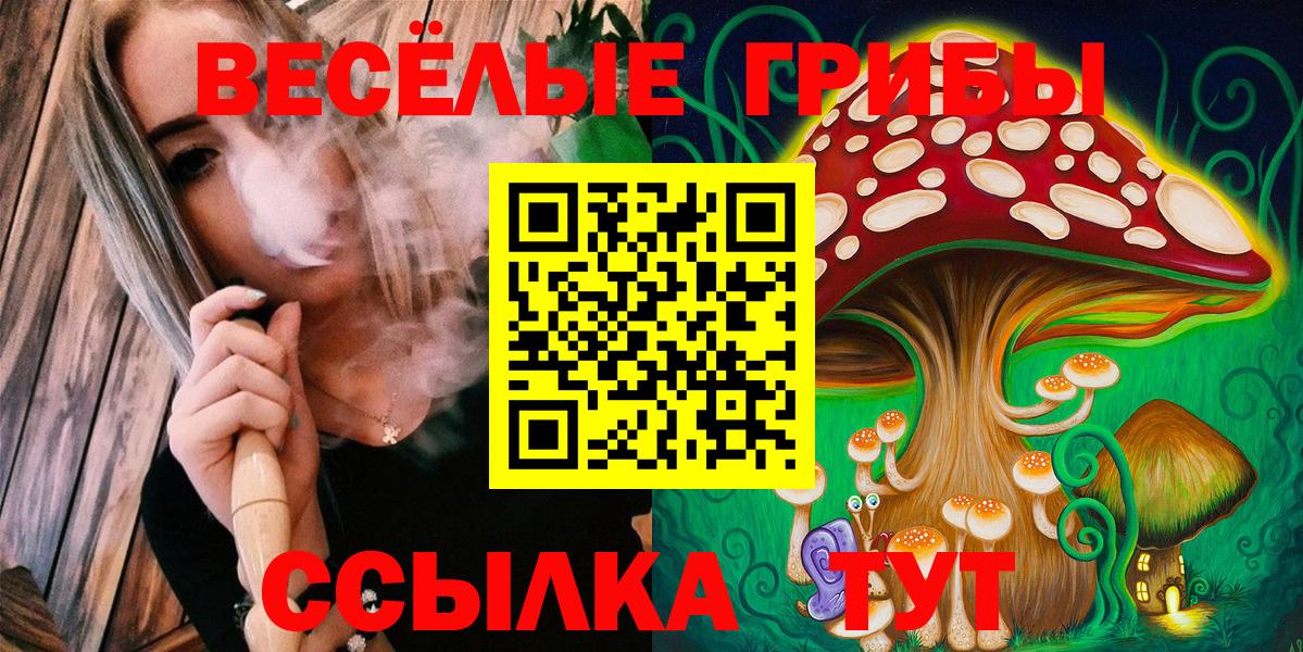 Большой Камень  Псилоцибиновые грибы Magic Shrooms  Вход с VPN 